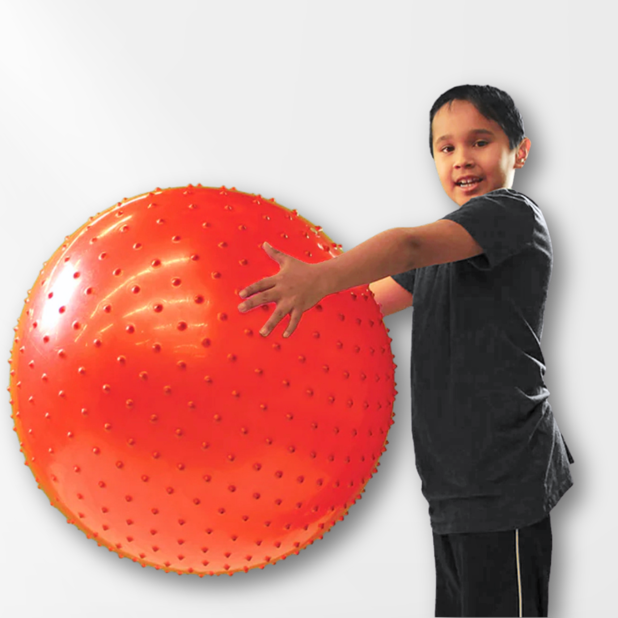 Inflatable Therapy Ball – Indigenous Inclusive Education