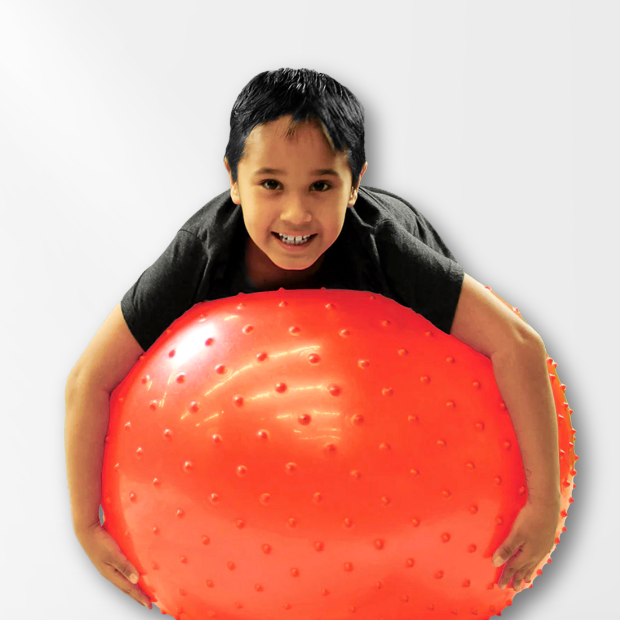Inflatable Therapy Ball – Indigenous Inclusive Education